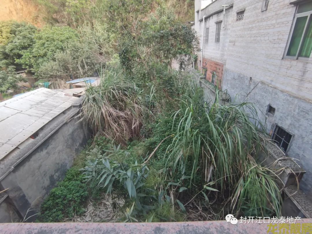 河南城区一线临街4层半自建房整栋出售