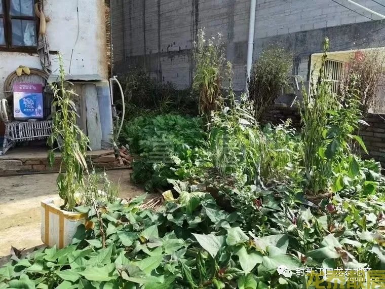 河南片区 16.8万 16.8万全款买一栋房子